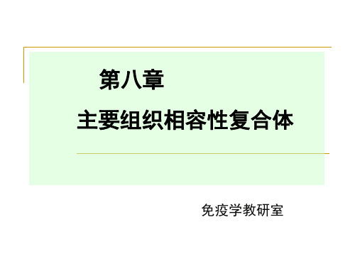 主要组织相容性复合体