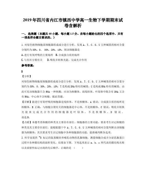 2019年四川省内江市镇西中学高一生物下学期期末试卷含解析