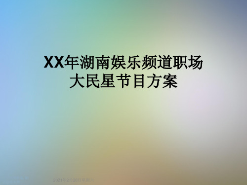 XX年湖南娱乐频道职场大民星节目方案