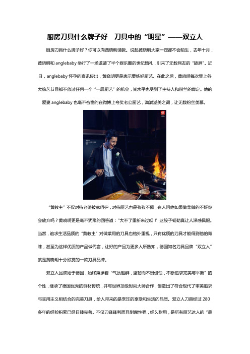 厨房刀具什么牌子好  刀具中的“明星”——双立人