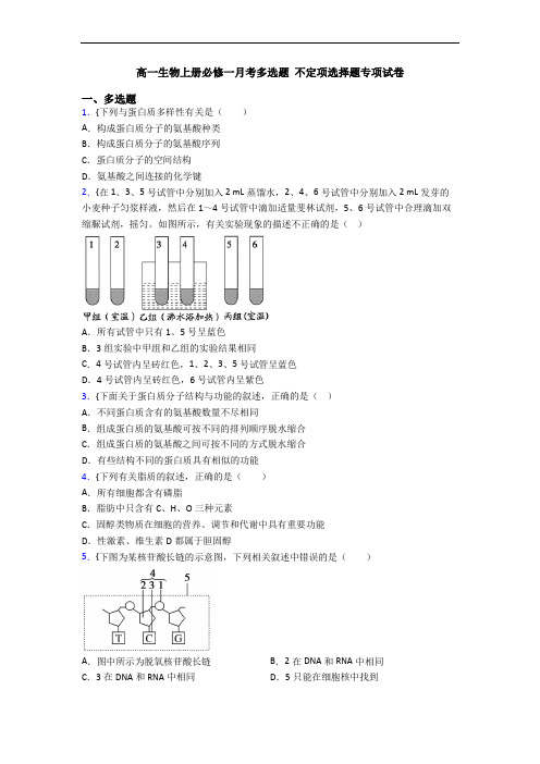 高一生物上册必修一月考多选题 不定项选择题专项试卷