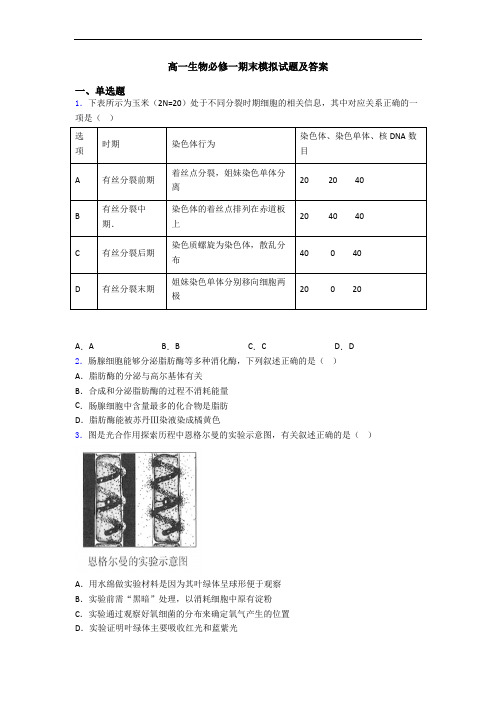 高一生物必修一期末模拟试题及答案