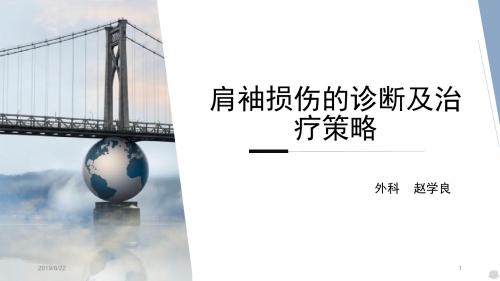 肩袖损伤的诊断及治疗策略PPT课件
