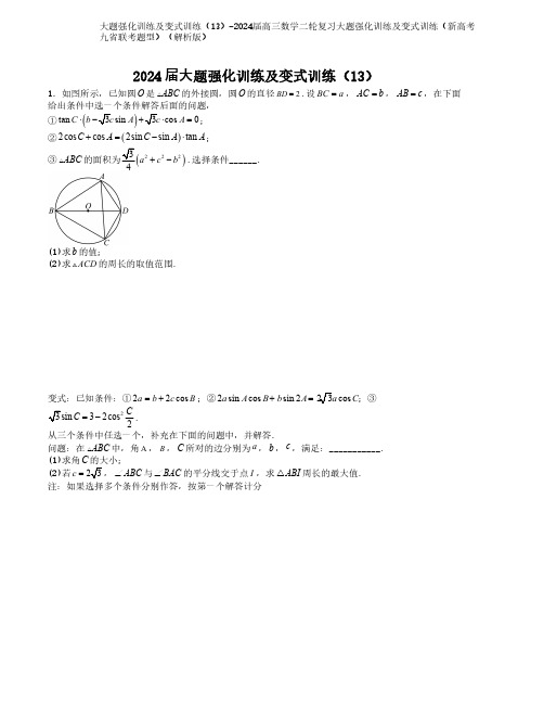 大题强化训练及变式训2024届高三数学二轮复习大题强化训练及变式训练(新高考九省联考题型)(解析版)