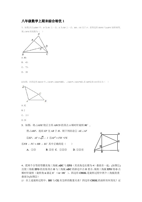 八年级数学上期末综合培优1