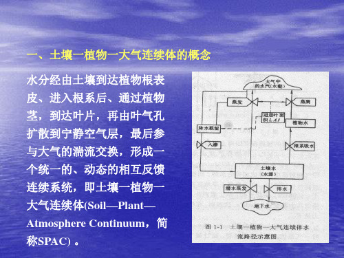 合理灌溉的机理及如何合理灌溉PPT课件