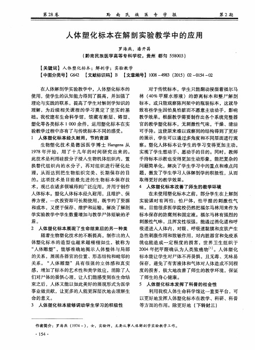 人体塑化标本在解剖实验教学中的应用