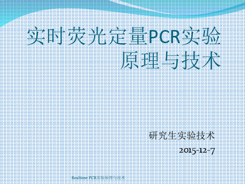 Realtime PCR实验原理与技术 ppt课件