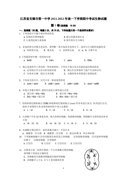 江苏省无锡市第一中学2011-2012年高一下学期期中考试生物试题