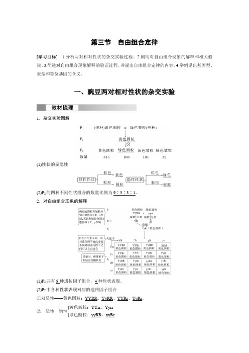 第一章第三节自由组合定律-2024-2025学年高中生物必修2(苏教版)课时练习