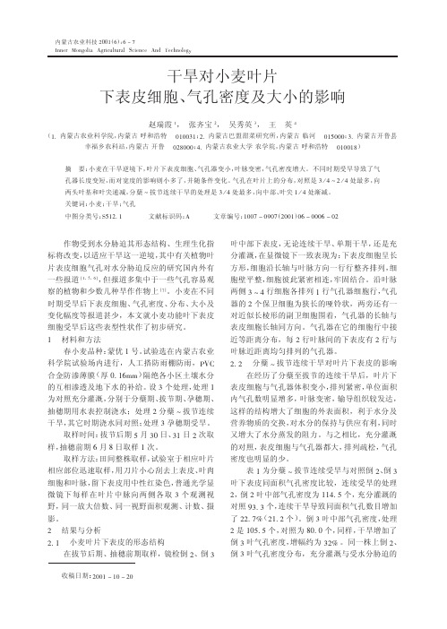 干旱对小麦叶片下表皮细胞_气孔密度及大小的影响