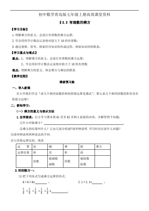 初中数学青岛版七年级上册高效课堂资料学案：3.3有理数的乘方