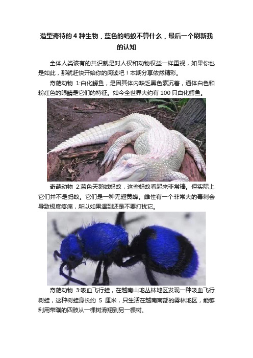 造型奇特的4种生物，蓝色的蚂蚁不算什么，最后一个刷新我的认知