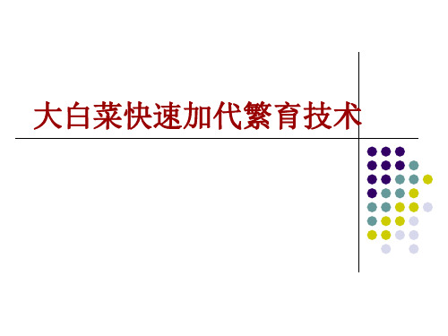 实验大白菜加代繁育