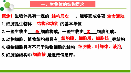 济南版八年级上册生物背诵