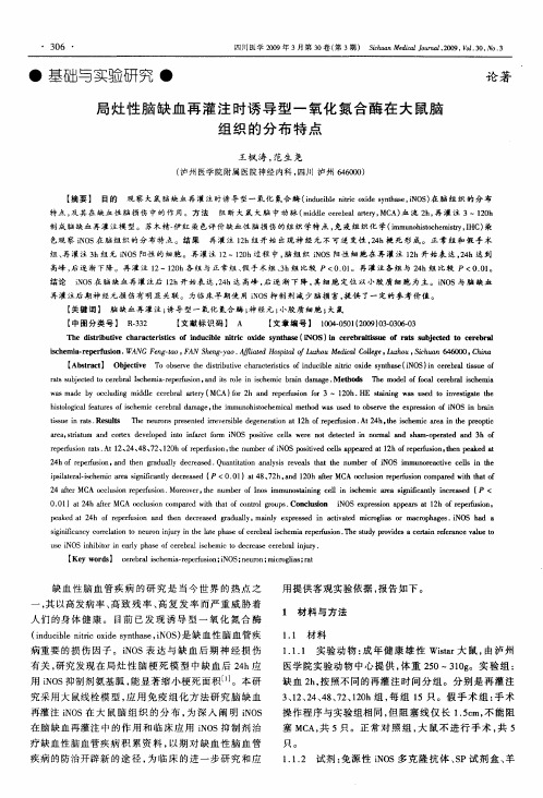 局灶性脑缺血再灌注时诱导型一氧化氮合酶在大鼠脑组织的分布特点