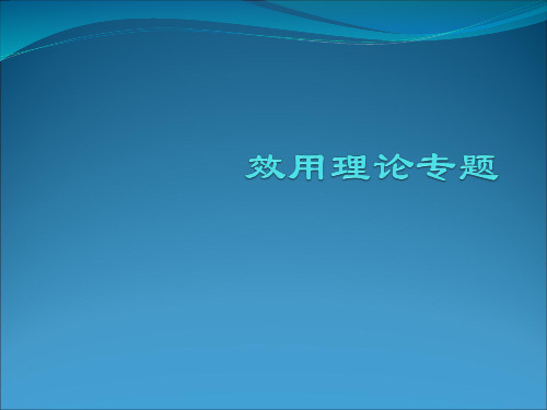 效用理论专题