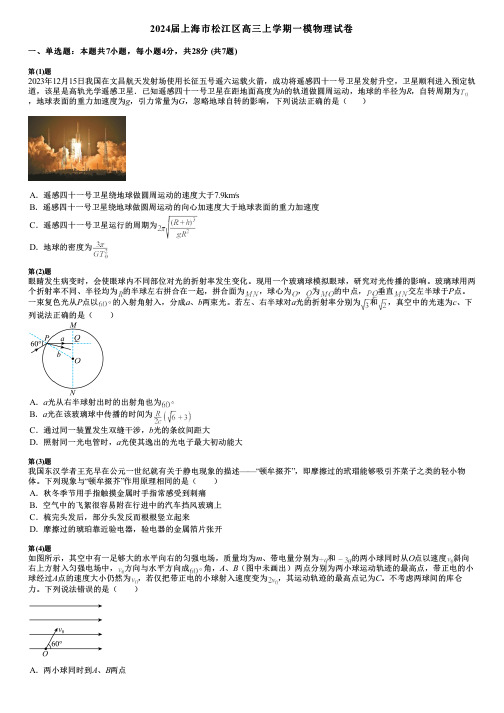 2024届上海市松江区高三上学期一模物理试卷