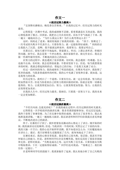 经历过什么最美作文600字