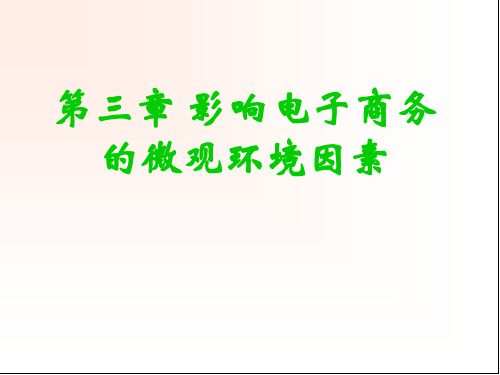 电子商务概论——商务视角第03章影响电子商务的微观环境因素