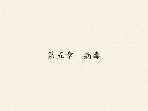 人教版八年级上册 生物 课件 5.5病毒