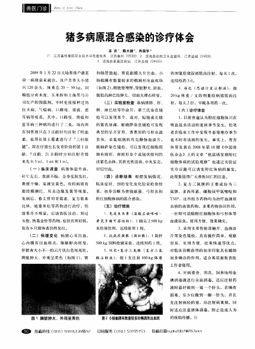 猪多病原混合感染的诊疗体会