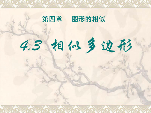 《相似多边形》图形的相似3 最新小学精品公开课件