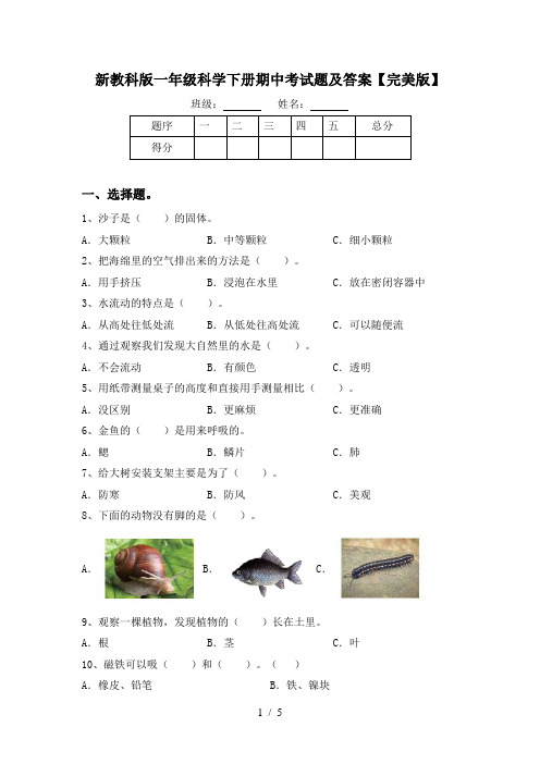 新教科版一年级科学下册期中考试题及答案【完美版】