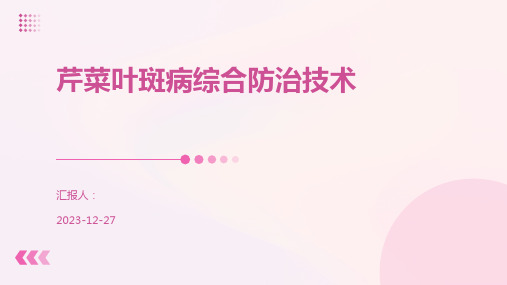 芹菜叶斑病综合防治技术