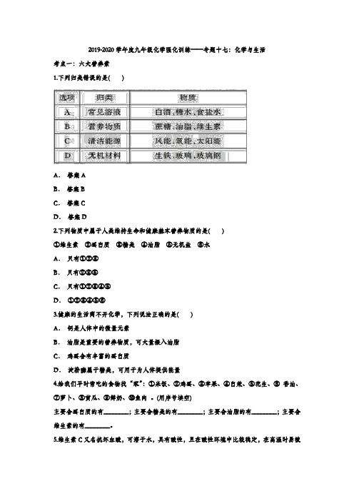 2019-2020学年九年级化学强化训练——专题十七：化学与生活