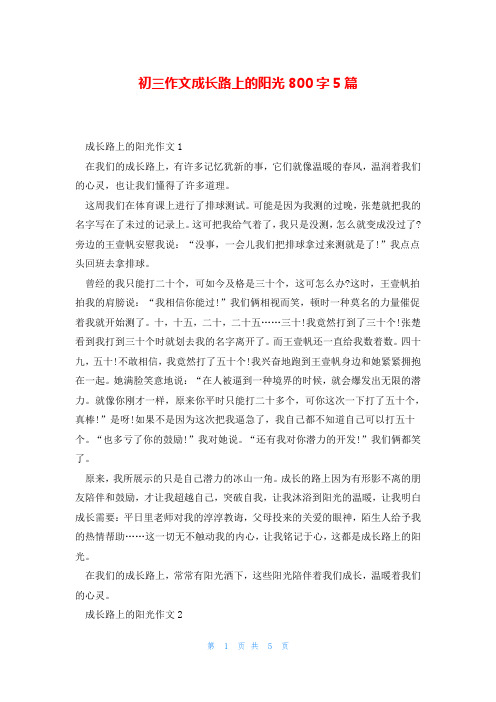 初三作文成长路上的阳光800字5篇