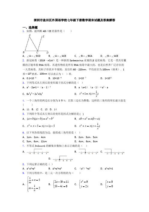 深圳市盐田区外国语学校七年级下册数学期末试题及答案解答