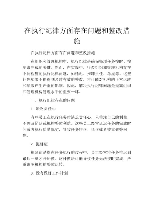 在执行纪律方面存在问题和整改措施