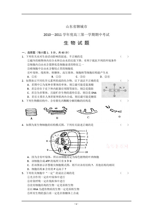 山东省聊城市2011届高三期中考试(生物)