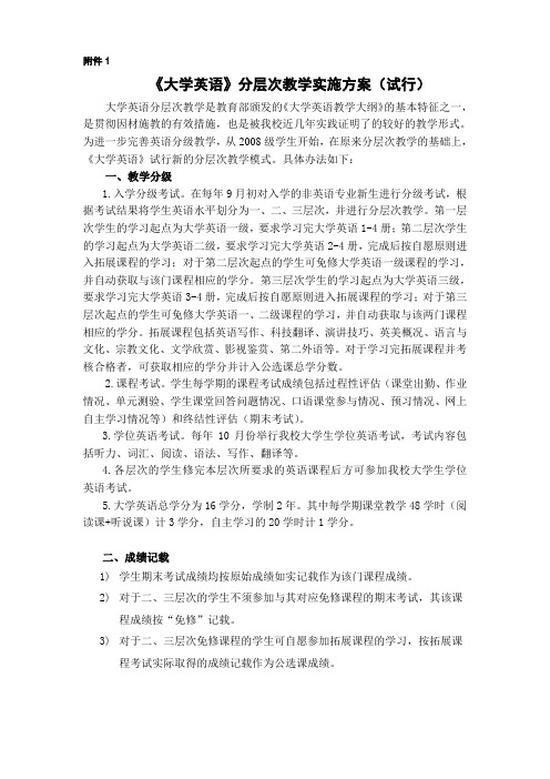 大学英语分层次教学实施方案(试行)