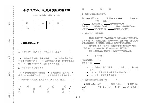 【小学教育】2019最新小学语文小升初(通用版)真题模拟试卷ZR8—8K可直接打印