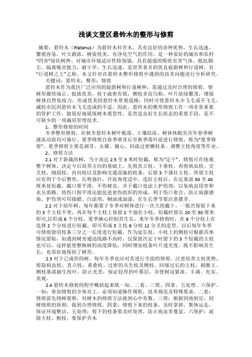 浅谈文登区悬铃木的整形与修剪