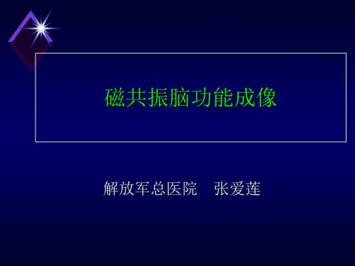 磁共振脑功能成像-94页PPT文档资料