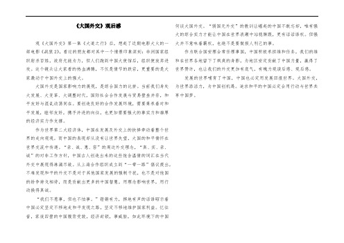 《大国外交》观后感 (2)