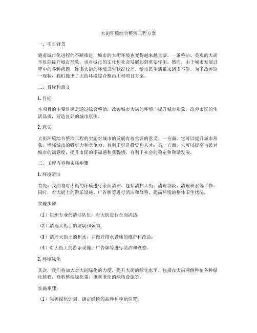 大街环境综合整治工程方案