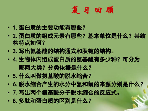 遗传信息的携带者——核酸ppt40 人教课标版精选教学PPT课件
