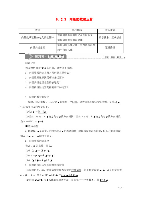 高中数学6.2.3向量的数乘运算学案新人教A版必修第二册