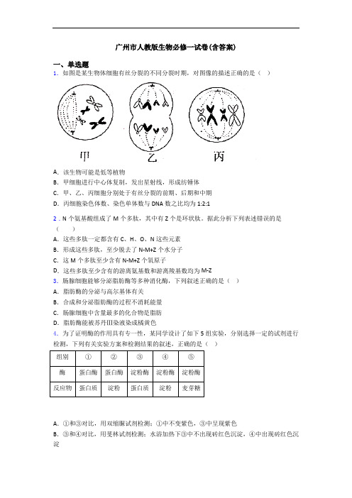 广州市人教版生物必修一试卷(含答案)