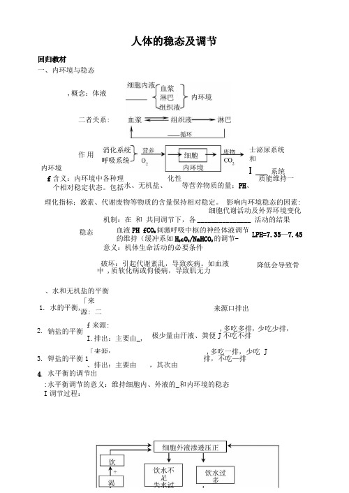 人体的稳态及调节