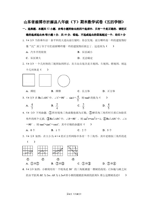 山东省淄博市沂源县八年级(下)期末数学试卷(五四学制)