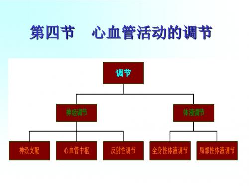 4.3心血管活动调节