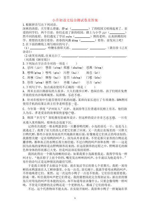 2020武汉六年级小升初语文模拟试卷及参考答案