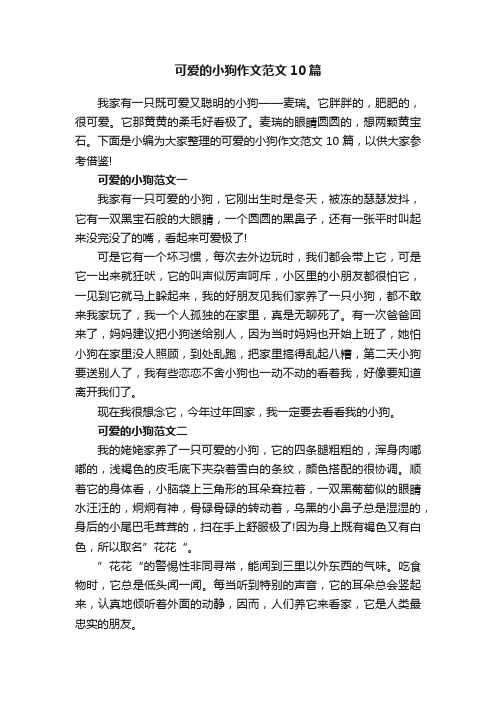 可爱的小狗作文范文10篇