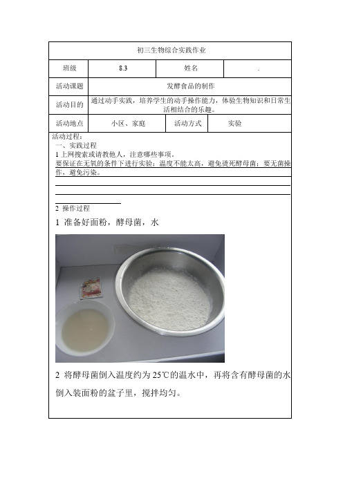 初中生物综合实践作业