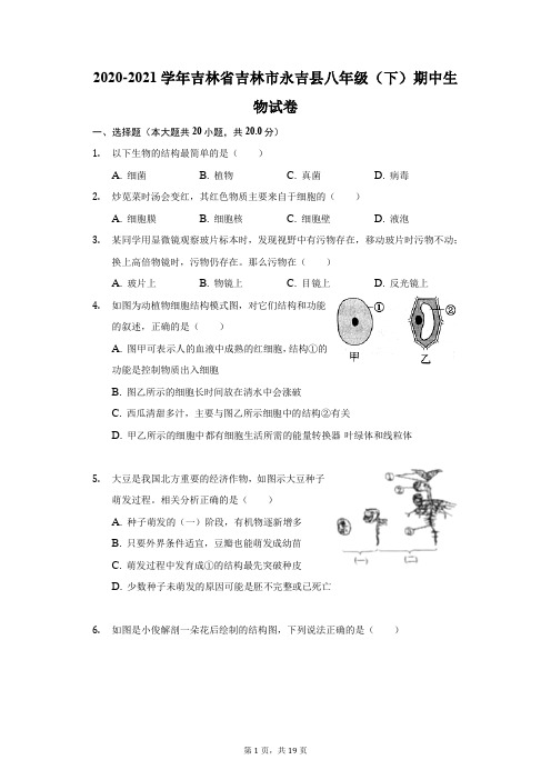 2020-2021学年吉林省吉林市永吉县八年级(下)期中生物试卷(附答案详解)